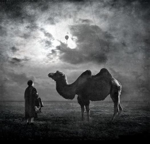 Fariduddin Attar Story