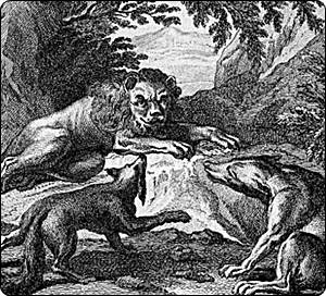 Story from Rumi's Masnavi lion wolf and fox - story from Rumi's Masnavi